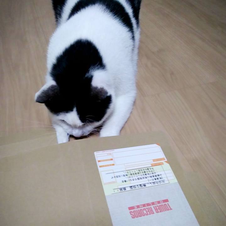 7e89d836 2f0c 4b86 8660 dc85eb2a13ac 1549712292357