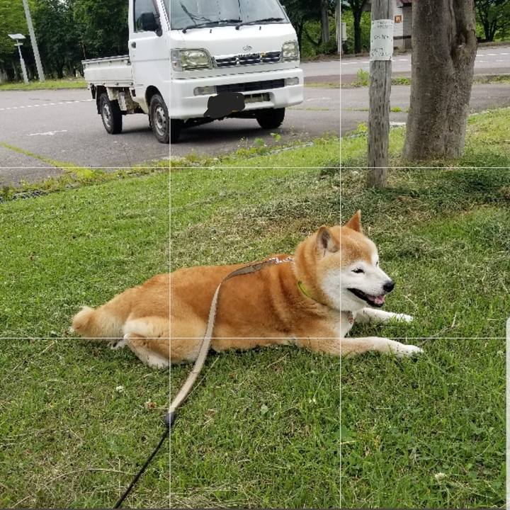 7e89ee93 c273 4495 a066 69a65fbec26a 1686546086866