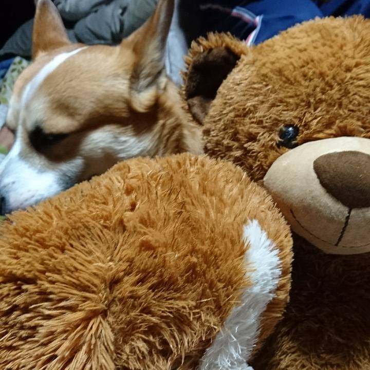 7e89ee98 7366 4bcb 99a7 1be5007098e1 1618960985703