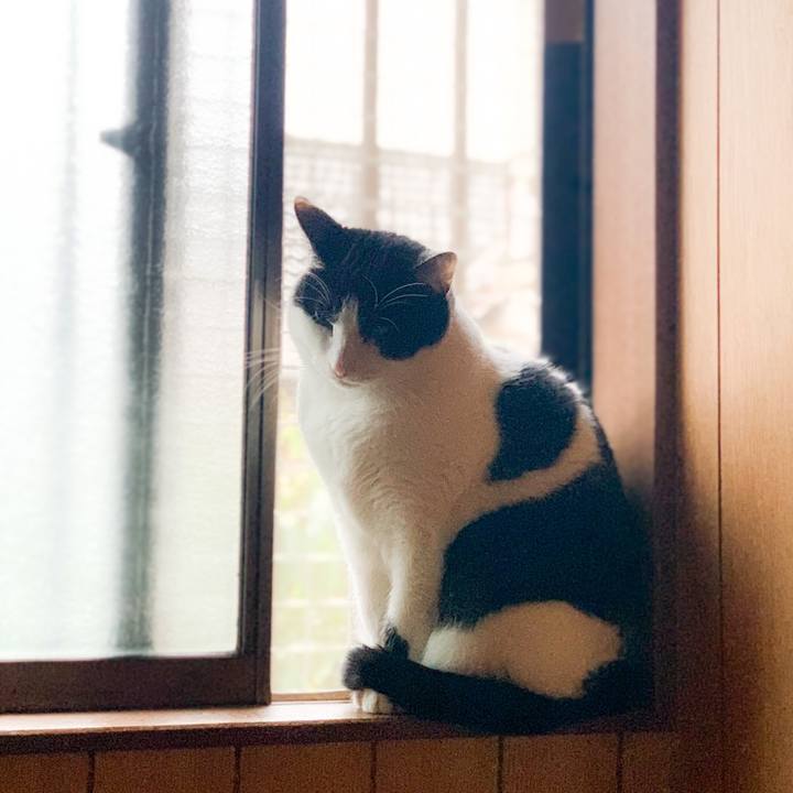 7e8a5c84 d186 4c82 800c 4b33c37e9d78 1584237190184