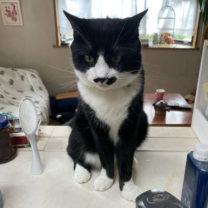 7e8af446 14f6 40a0 8967 cf6b0d493b58 1661168296118