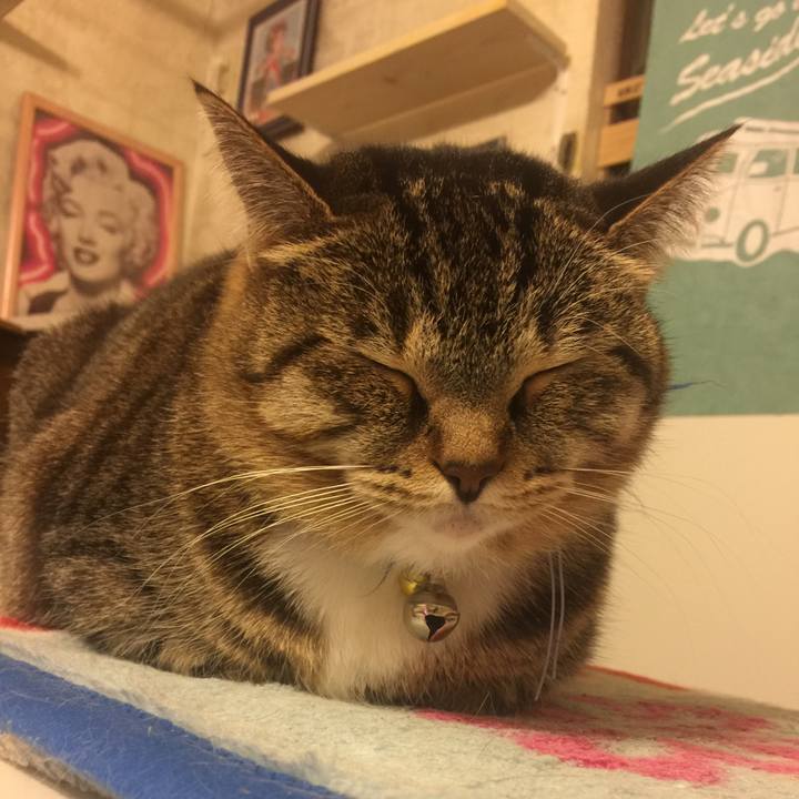 7e8af702 690b 4f96 9feb fe404058d615 1547904106126