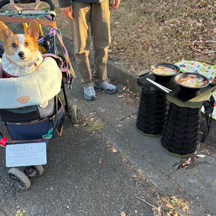 7e8b16a9 aa4d 49fc b54f 2df512800117 1765614953544