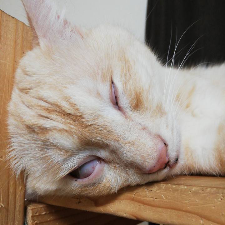 7e8b6df4 1f42 4d4d 9de5 f25cabd113b2 1628398669201