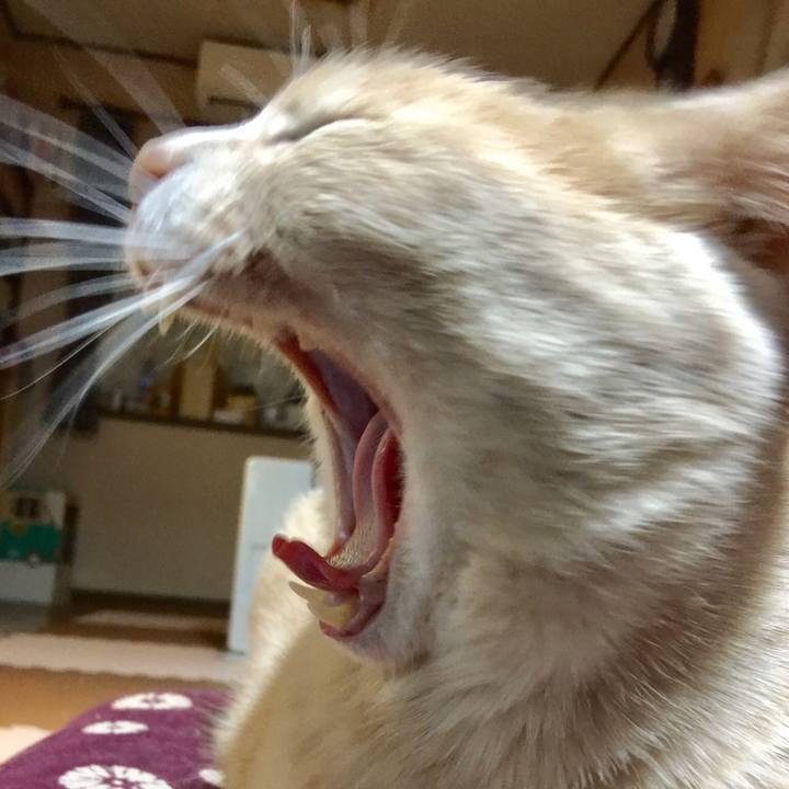 7e8b7563 06d4 4ca7 bc32 1eac34d9e002 1550659998084