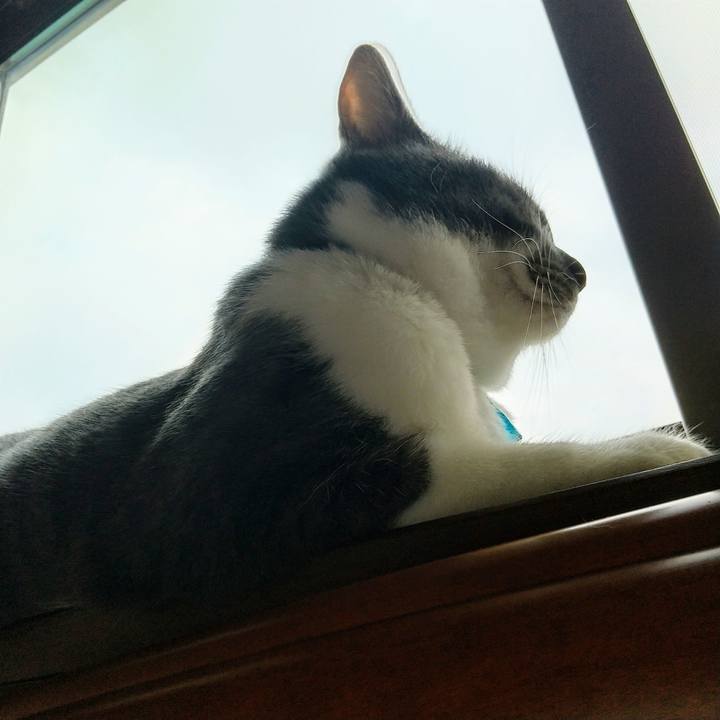 7e8b8bfb 7ba2 4152 a6ea 7508051aeed2 1627253046308