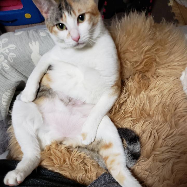 7e8ba78a f1f0 4f02 8fa0 363e41b4fd1c 1758679258348