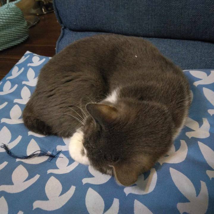 7e8bcd64 6133 48e5 aaa7 5eee61d80f86 1705059220474