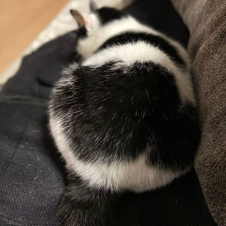 7e8bd8f3 74ac 48ec bbac 75e5804ba633 1606909275977