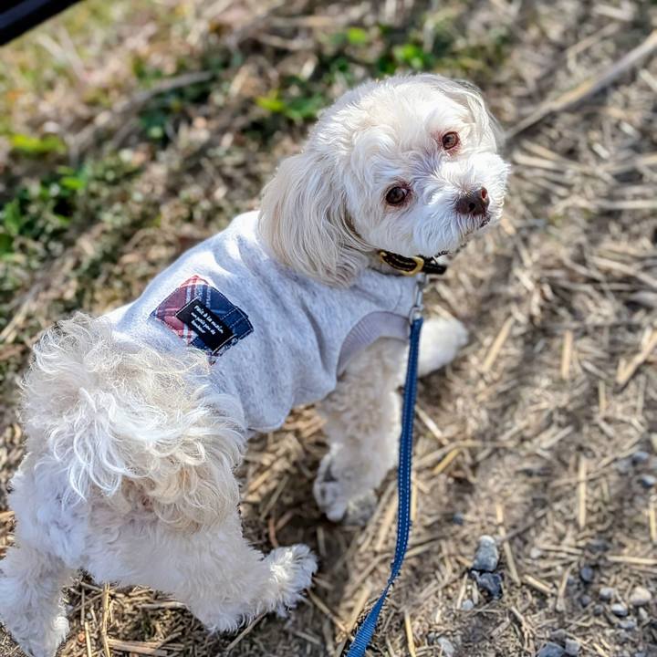 7e8bddc4 fe9a 47da a23e e69aefbe7948 1768125448403