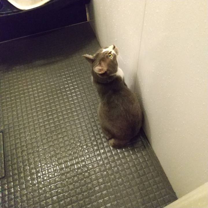 7e8c3455 4216 4d19 9add eff94c05785a 1644530315983