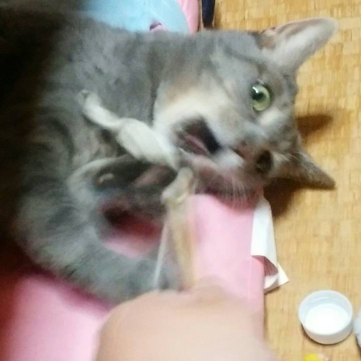 7e8c863a 4529 4559 b290 b11e76f8f2d0 1567776446062