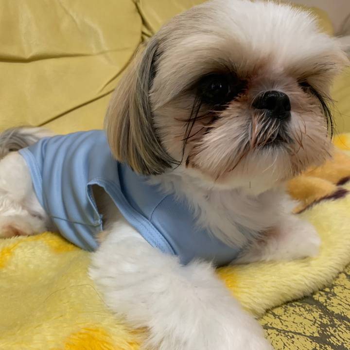 7e8c8ff3 8a20 4534 9f33 f81cff9d107e 1602288204346