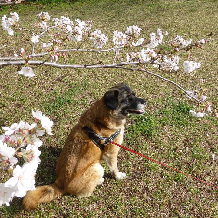 7e8c9398 3d32 4d26 8936 197cc55131f6 1578701958322