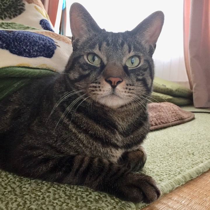 7e8c9582 9a8e 4a8c 8eba 893291572c9e 1579777076336