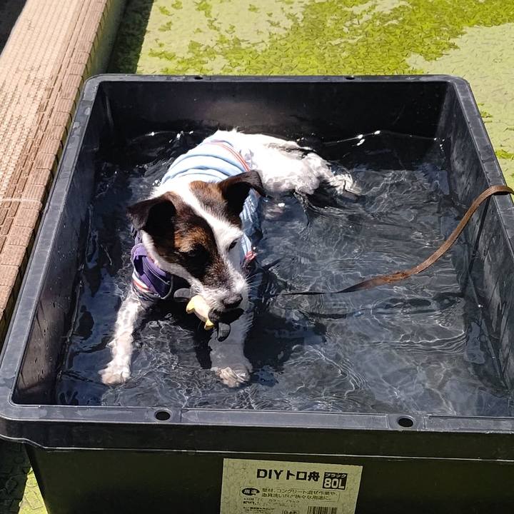 7e8cde2c 6f5a 4978 8e4a 8c23044dacdd 1684299991450