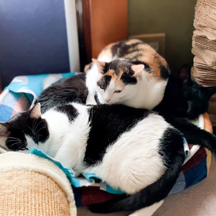 7e8d13c9 344d 4aa4 a3dc 77528a0d6929 1585101003359