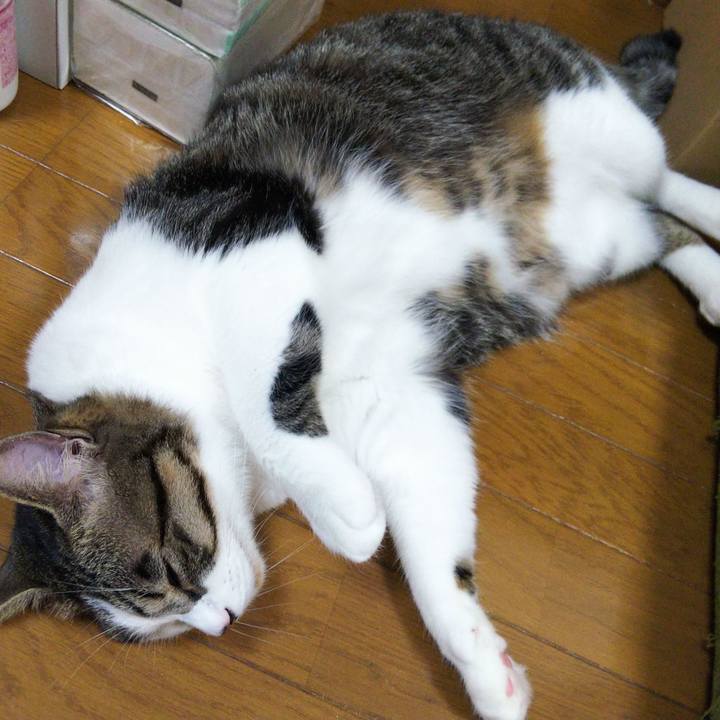 7e8d188e 99dd 41da bb51 e4c77d0d66fd 1653567831546