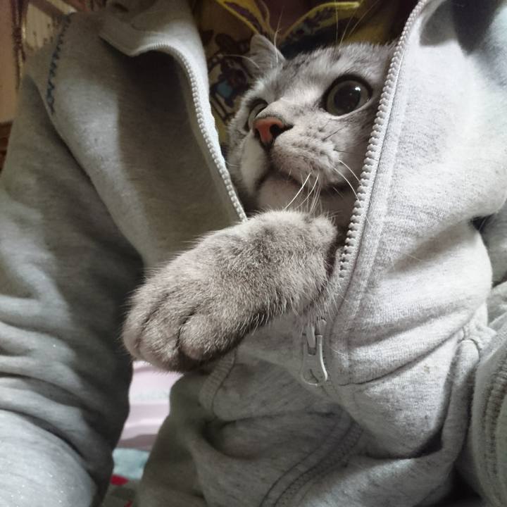 7e8d2063 39a1 4294 98b6 7045af01e319 1516703606746