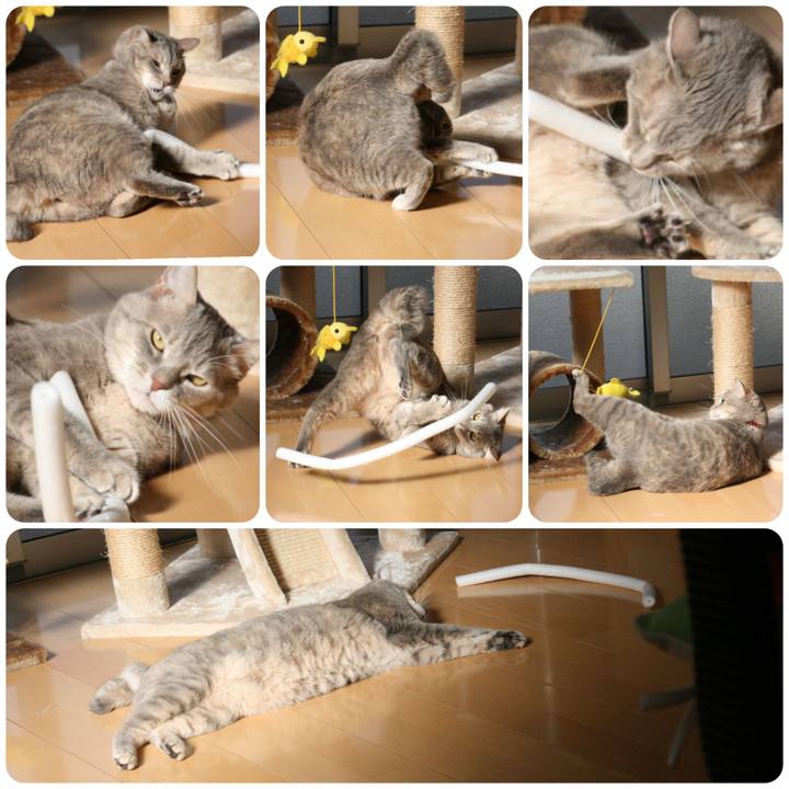 7e8d3e82 cf33 48de a184 e4145d1b5458 1543475129144