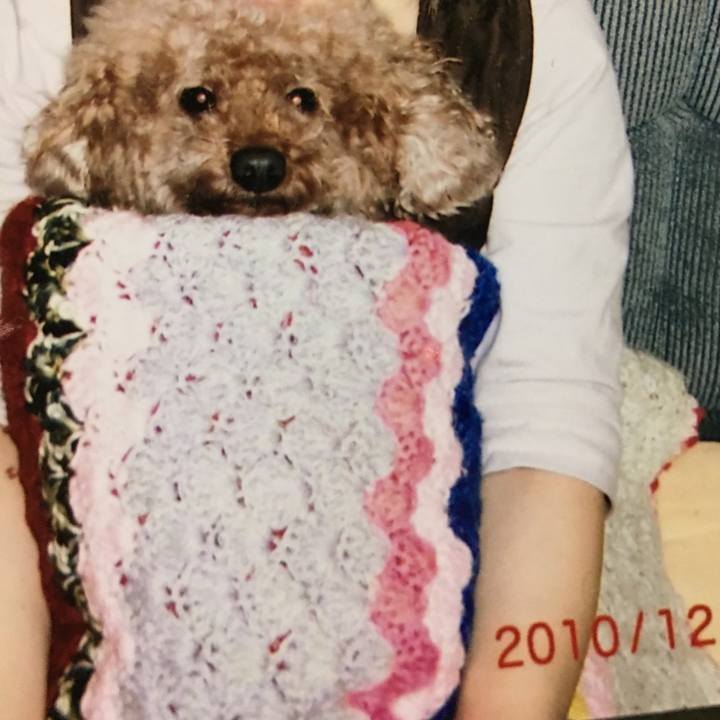 7e8d8faa 0185 406d 8262 806e5a46f012 1583141421144