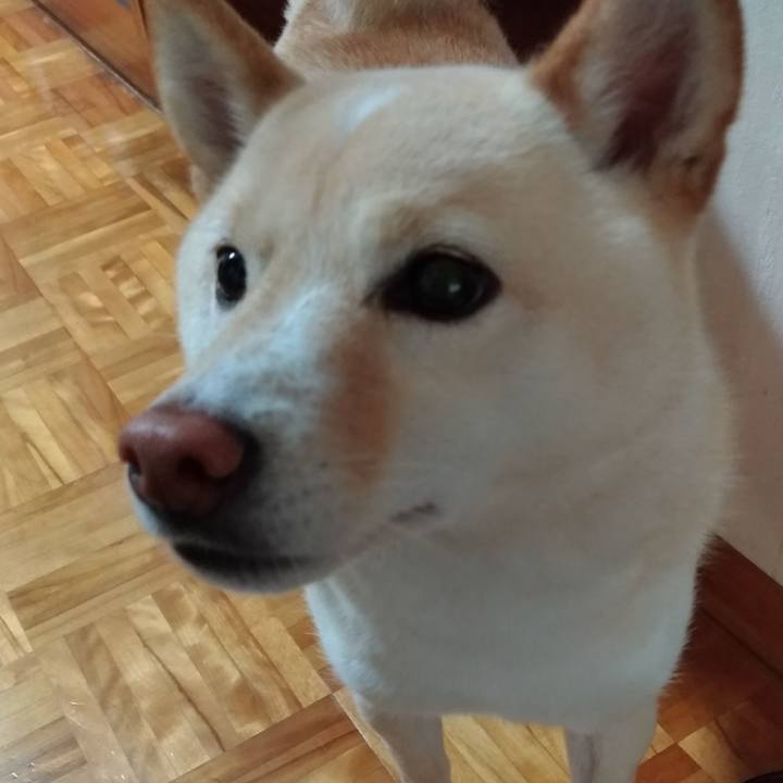 7e8dce92 3141 4b11 a70f 4a48a87beba9 1590359493256