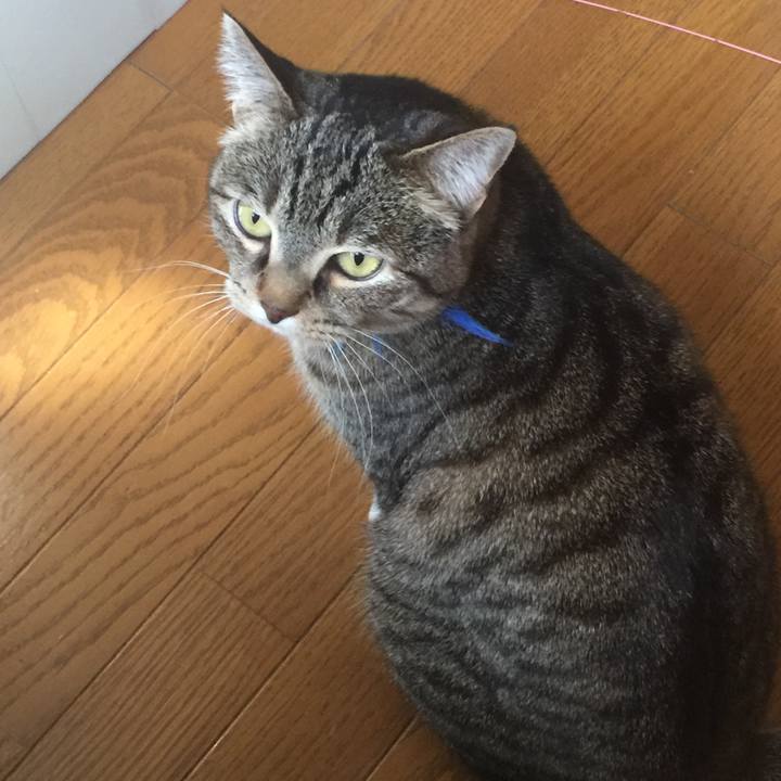 7e8de4a4 8761 4039 8377 4283fca1b5d6 1554511082249