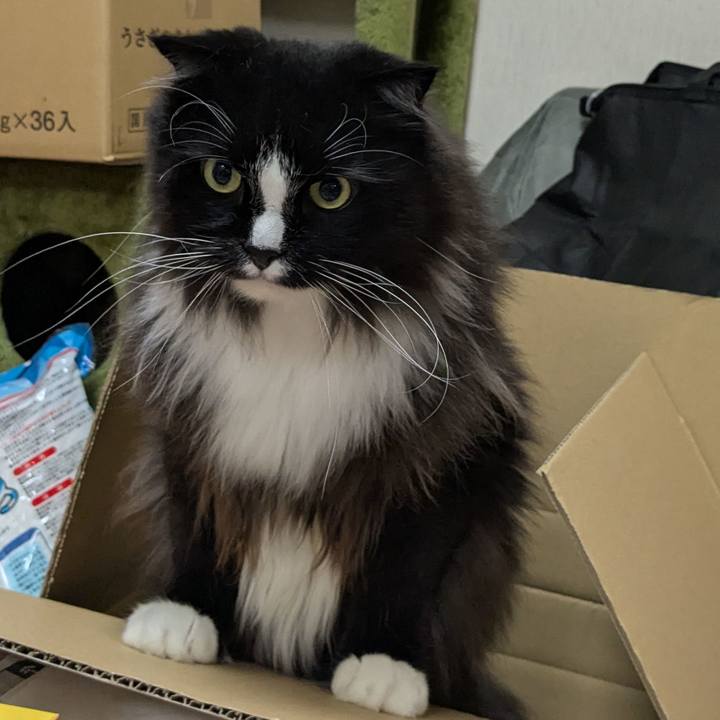 7e8df5ae e918 4778 bfc5 7858d7e46600 1753009093910