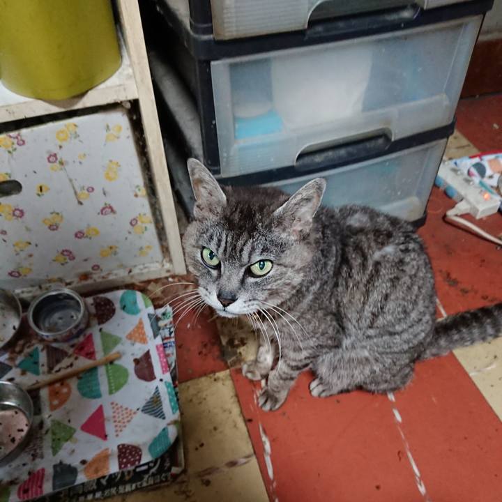 7e8e5210 df2a 4267 ace3 3d97a492a2a5 1592211385739