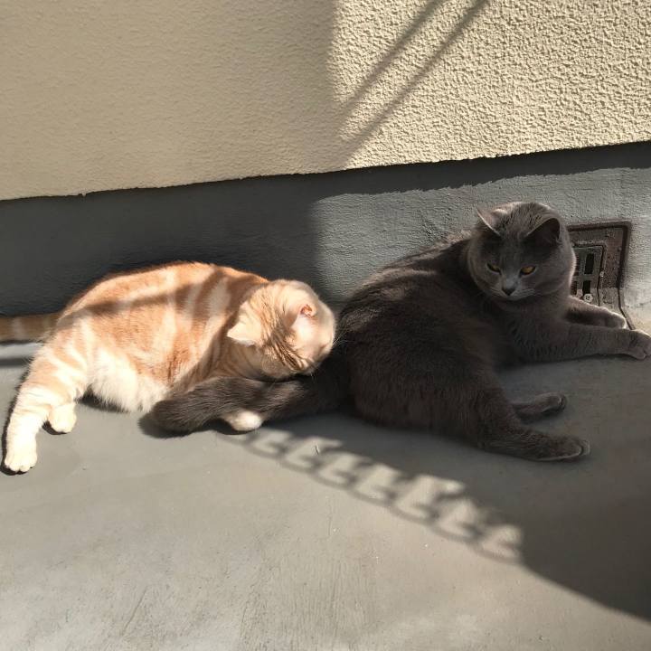 7e8e586a a68f 4777 9fc4 4f2efe5c5faf 1551421205974