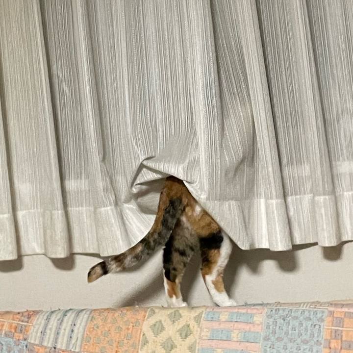 7e8e8d56 95ec 41da a732 72b7abea733c 1707142159145