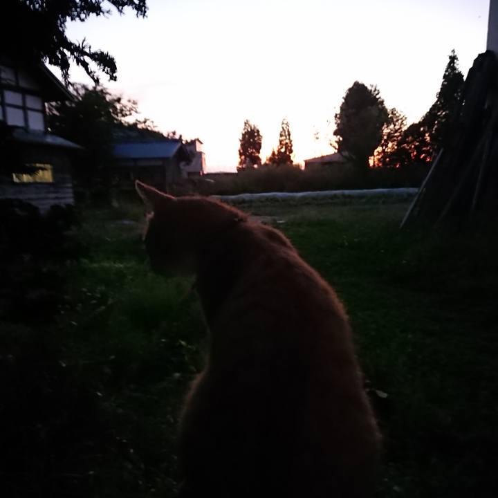 7e8ece5c 5626 4da4 b83b 4ed922b0d188 1569833622989