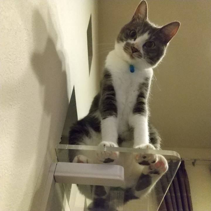 7e8ed03f 58b7 4f13 9650 d78c2dec10bf 1599487955489