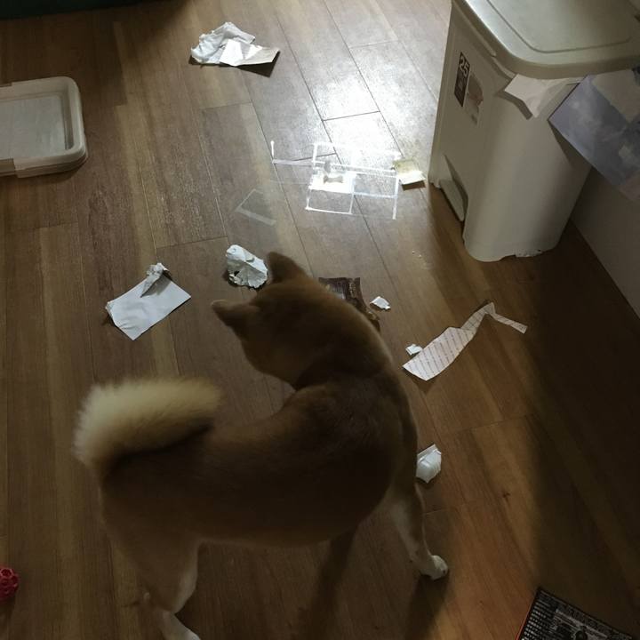 7e8ed327 d309 4cb1 b0c9 9c60930c4c3f 1512915311855