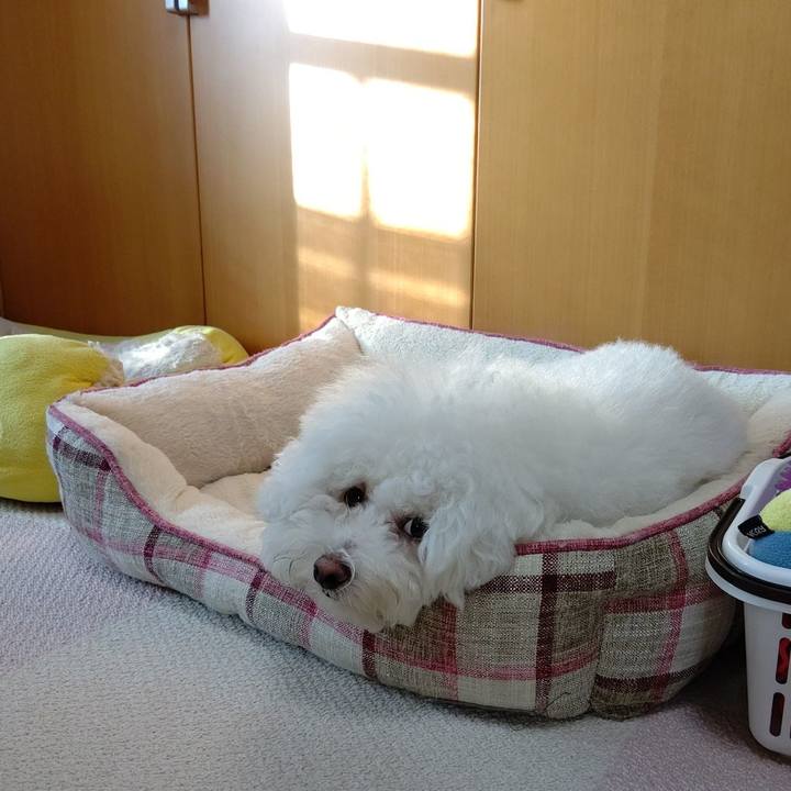 7e8edee8 4b95 46d2 ae52 747c98d06c1d 1601205732922