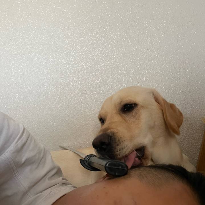 7e8efe66 315a 4317 8764 7adf282b1fae 1659875665135