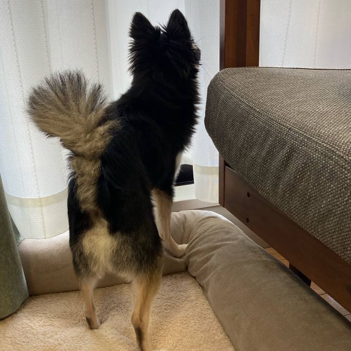 7e8f0d55 610f 47a0 bc61 8fca42842204 1626995249279