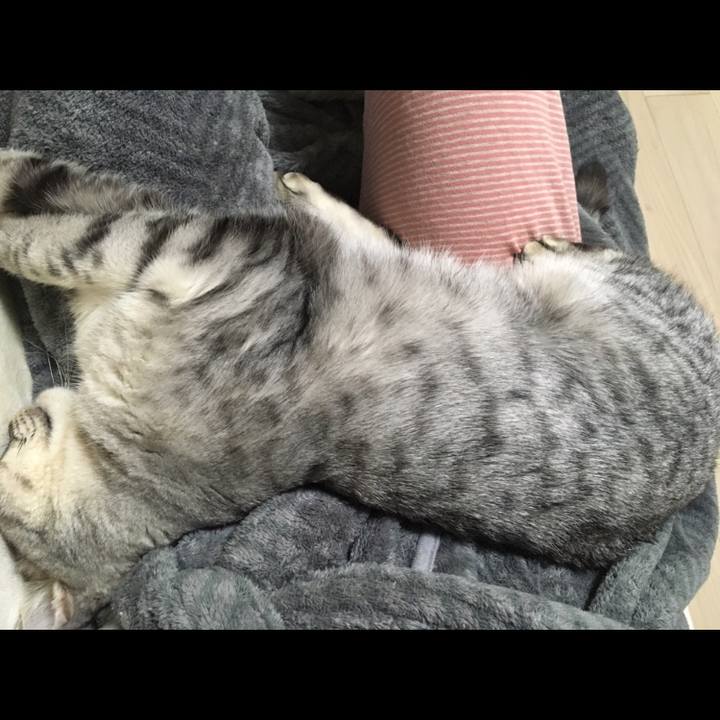 7e8f12ec f8ba 4226 9411 ae5b3dde7ada 1545466632794