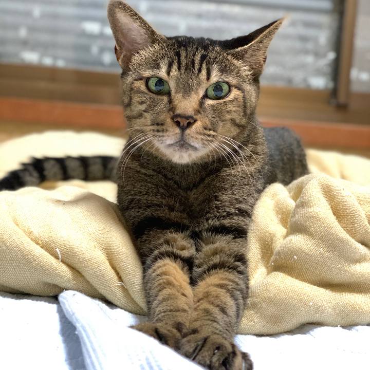 7e8f3bee 6dcd 4c0d 9ecd b045c1fe0403 1599866242344