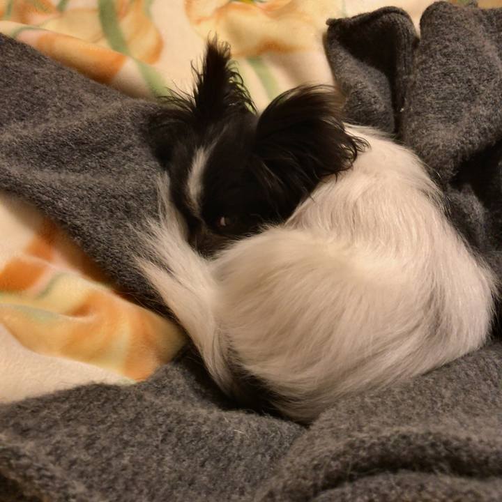 7e8f78a9 a0e2 4a74 889d 22a3d6db98e4 1516543237500