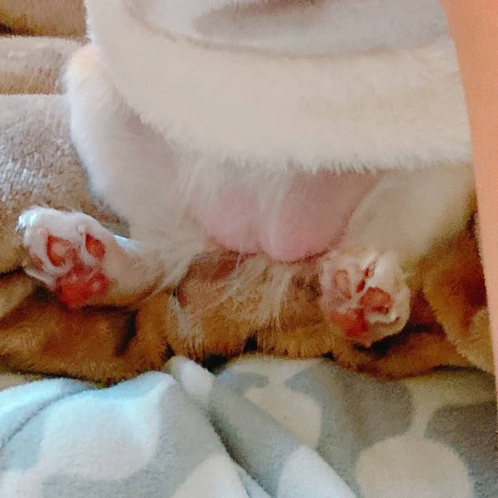 7e8f8e75 99fb 45fd 924d af5c0d8d339f 1640658714689