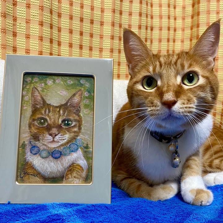 7e8fb051 2144 4be6 861b 2624a619c6b2 1756979800200