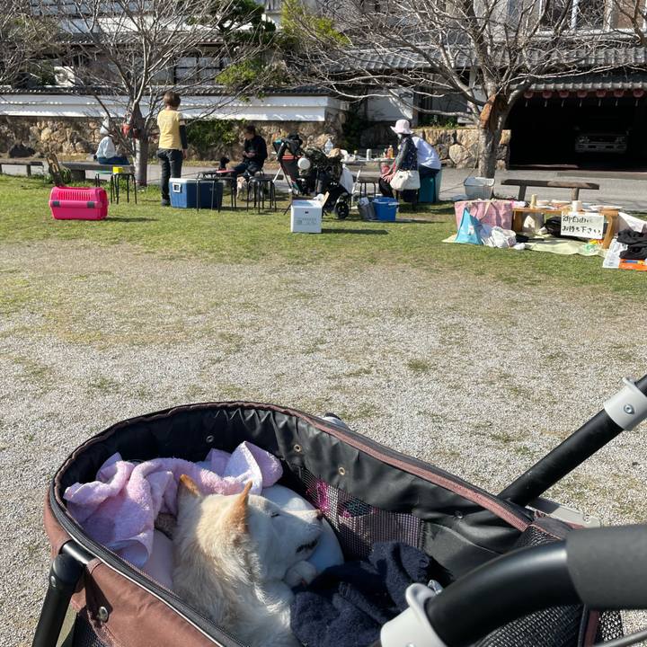 7e8fcc35 eee4 4fb7 b9bc eeb4f0b0984b 1679221820225