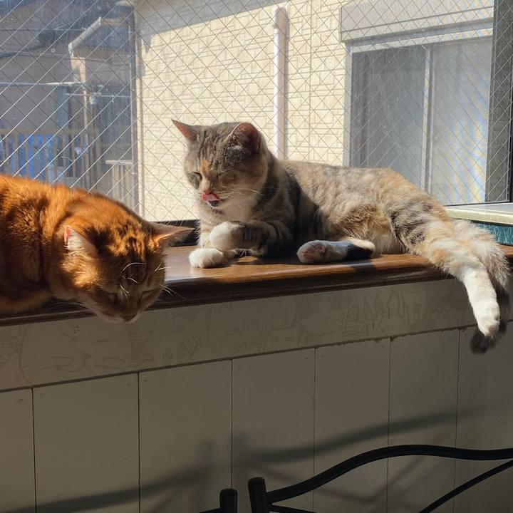 7e8ffdd2 00e4 493c a94d 91a0fd98e6c7 1586392231841