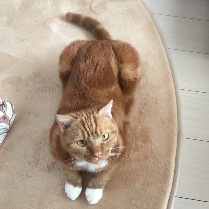 7e904892 d454 4c91 8234 04d6d6da58ee 1598152418276