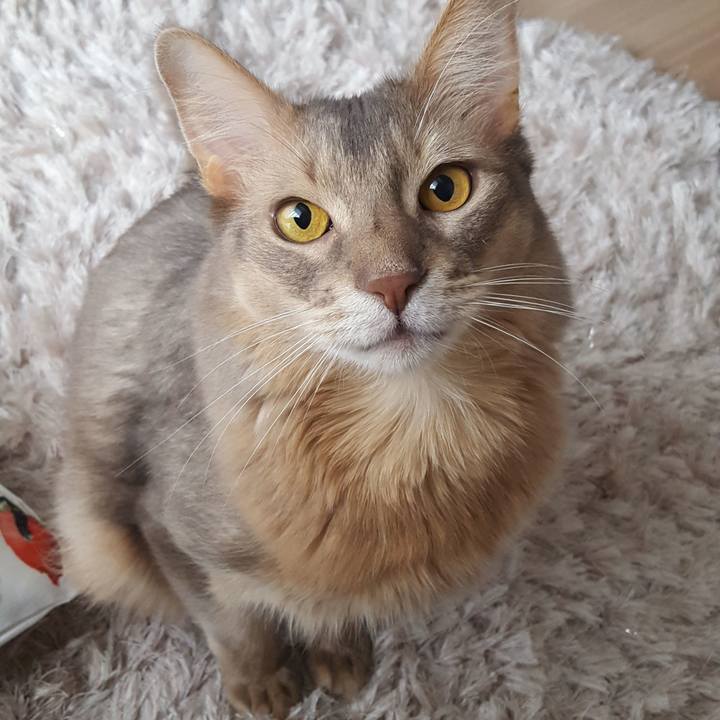 7e909a95 dc7e 4fe0 8196 b18c909f6df5 1577445389377