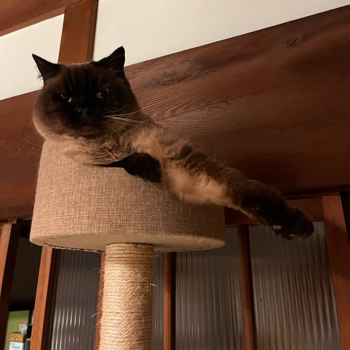 7e909f71 216f 4255 a74e 2f3f2660ded7 1675770588631