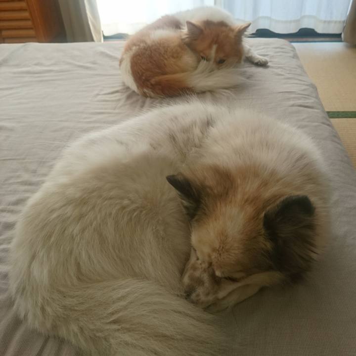 7e90d5c1 9908 4a1b b1b9 4715d109a4e2 1646395403763