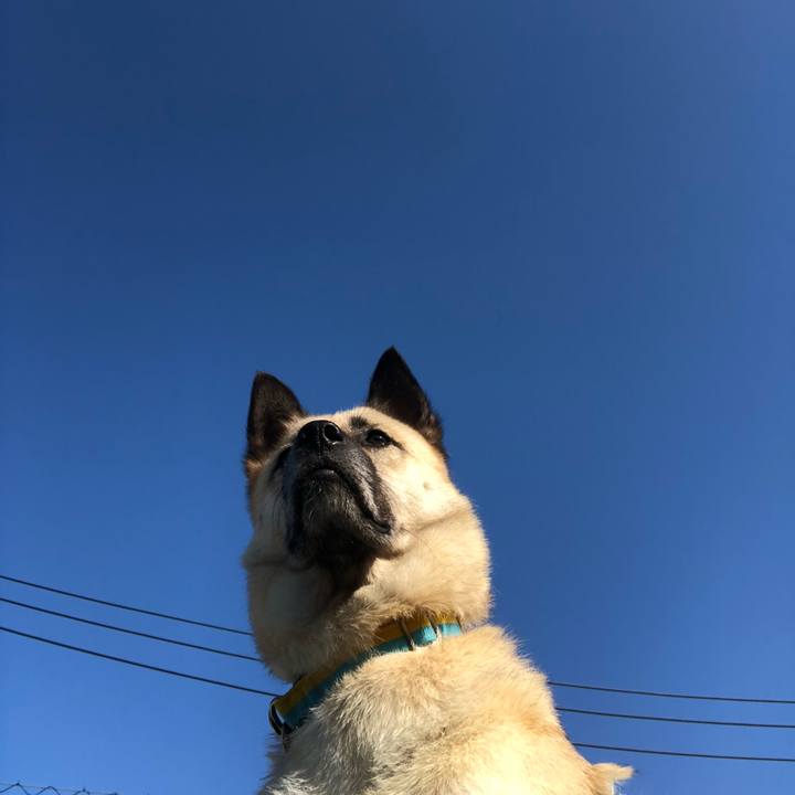 7e90df7b 19e2 4fb5 bf01 e310610f44eb 1592828702235