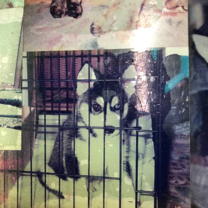 7e90f5d7 1617 49d8 9fd1 3a764e5ad007 1553071721355